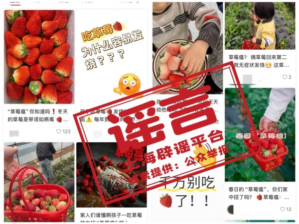 淘配网 最近不能吃草莓，因为有“草莓瘟”？这样的“善意提醒”很有问题